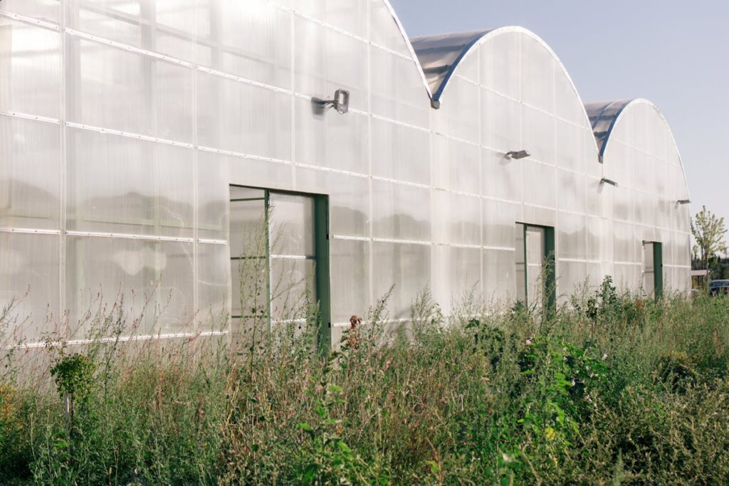 Fabriquer une serre en polycarbonate : étapes, conseils et astuces