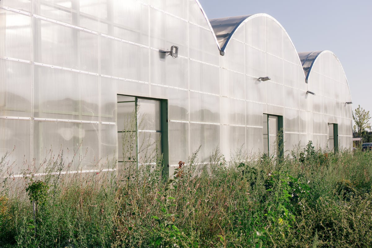 Fabriquer une serre en polycarbonate : étapes, conseils et astuces